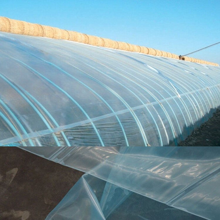 批發大棚塑料薄膜與地膜 選擇與使用指南